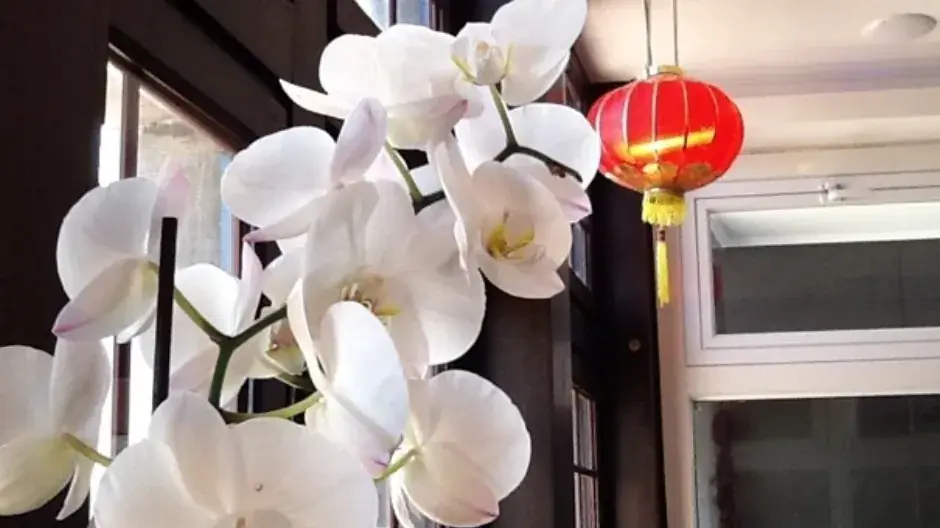 La Cité de Shanghai_Herstal_slider_image_3