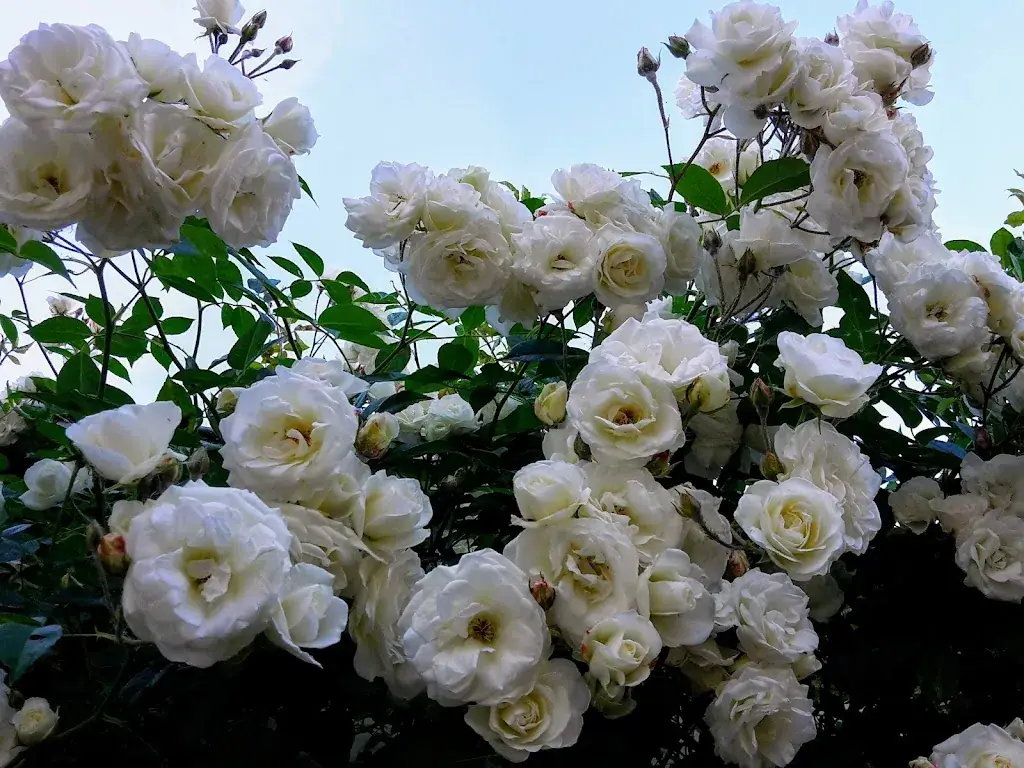 L'Etable d'Hôtes_Ittre_slider_image_3