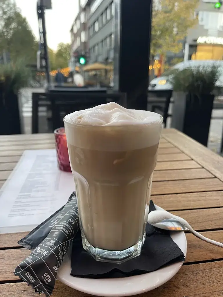 Anas M_De Roode Leeuw_Brasschaat_review