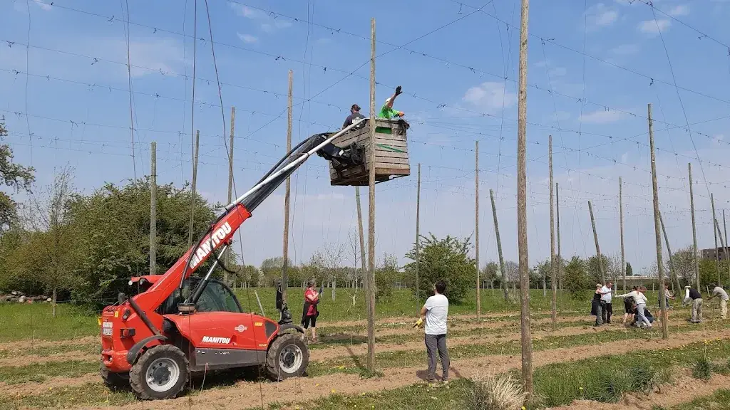 Nicolas Ory_Brasserie Cooperative Liegeoise Scrl Fs_Juprelle_review