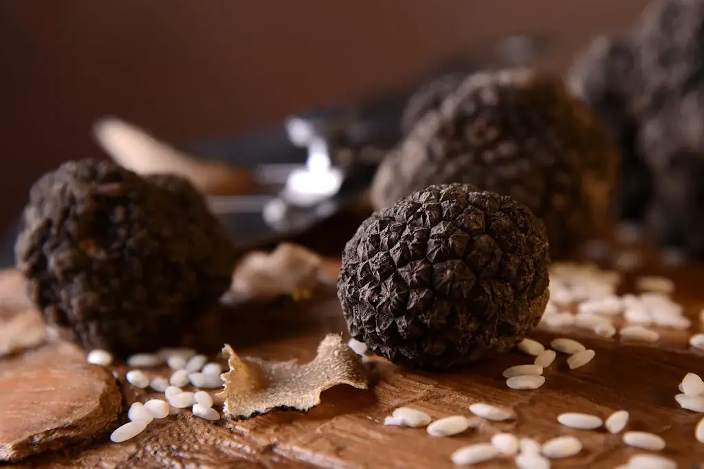 Pane E Vino Huy_Huy_slider_image_3