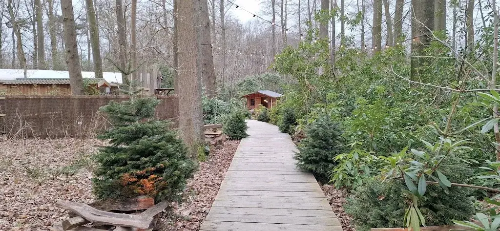 Mo R_Kbane restaurant_Hulpe_Bewertung