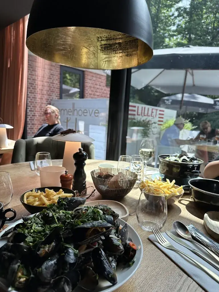 Ivanna Koniukh_Hemelhoeve_Brasschaat_review