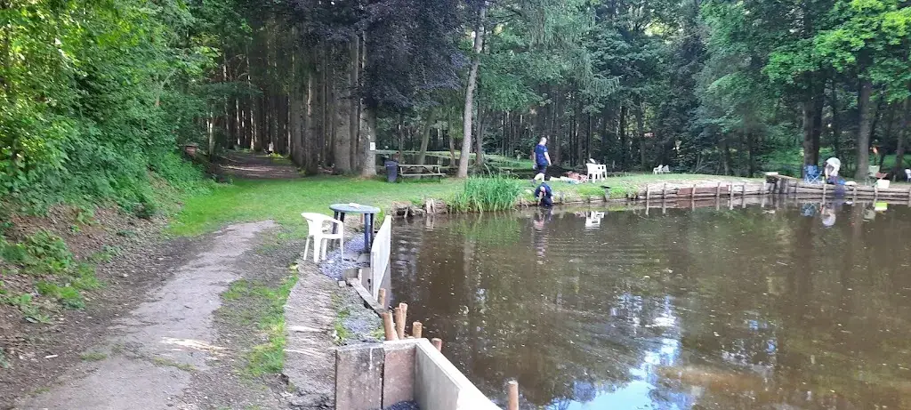 Robert Rathje_Bistro Foyeuru_Jalhay_avis