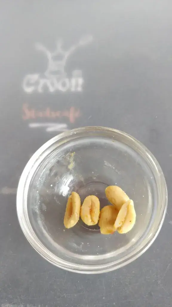 Menu_Brasserie De Croon_Bree_image_3