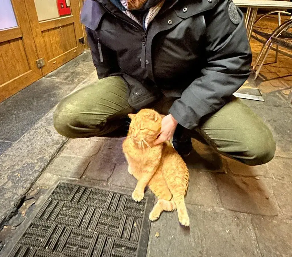 Raf Hendrickx_Pizzeria Super Mario_Roche-en-Ardenne_review