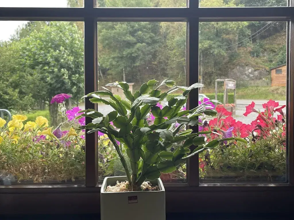 Andrea Sdl_Auberge au pont de villettes_Lierneux_review