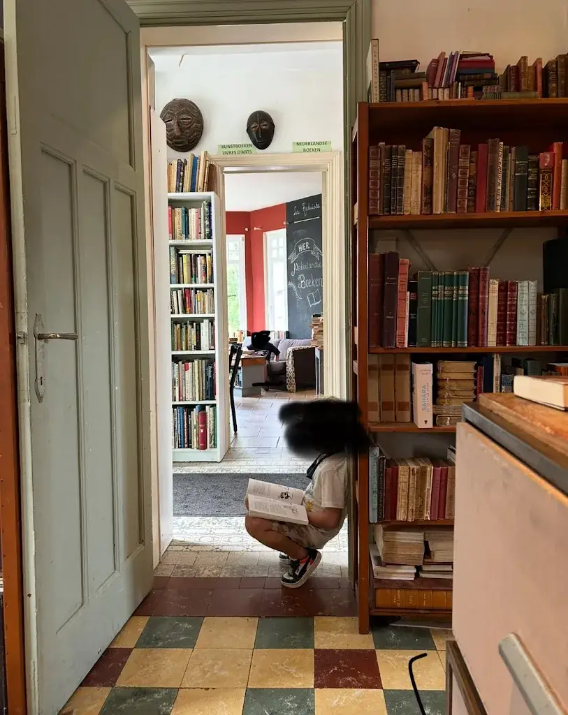 Frans Deelen Souza_La Reduiste_Libin_review