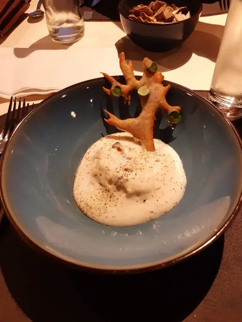 Mike Jarrey_Le Tramasure_Lessines_review