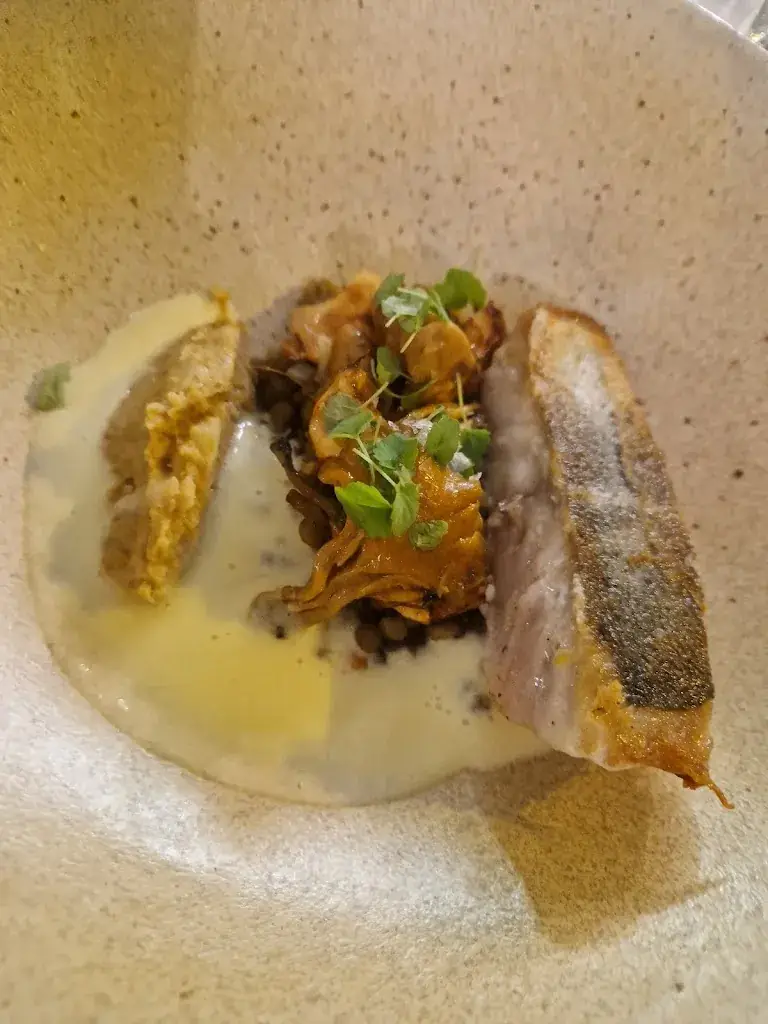 Hayanne Rocha Ferreira_La Part des Anges_Thuin_review