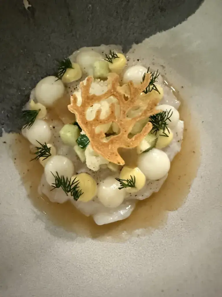 Maddie Bernard_La Part des Anges_Thuin_review