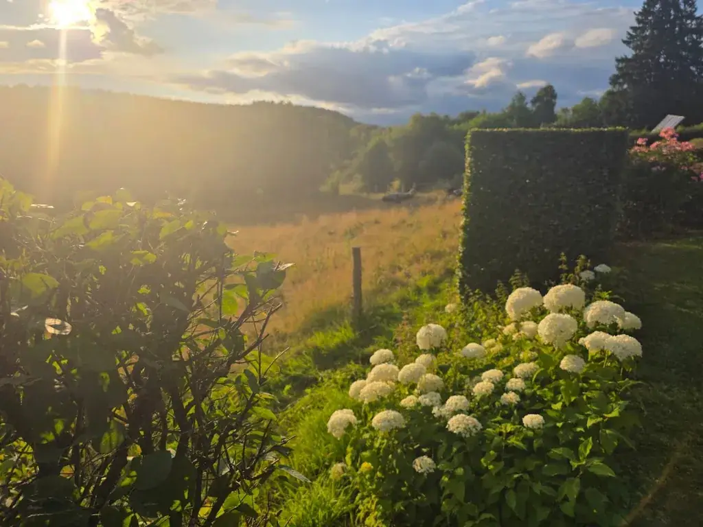 Anna Naert_Ferme des Bruyères_Malmedy_review