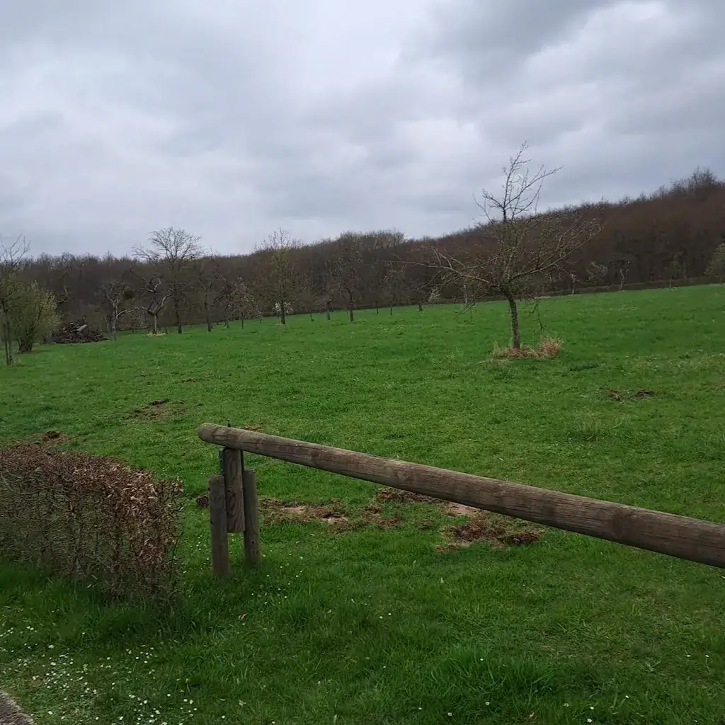 Domaine du Château de Modave Restaurant in Modave