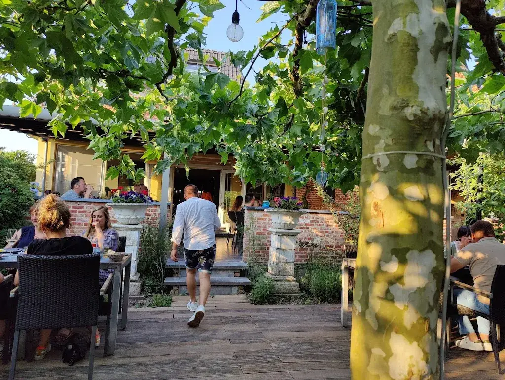 Bart Van Kerckhoven_Tzikis_Keerbergen_review