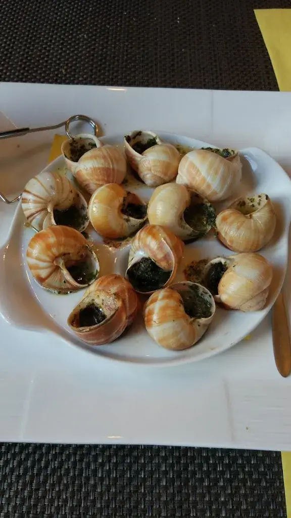 Evgenij Koronin_Hotel des touristes _Modave_review