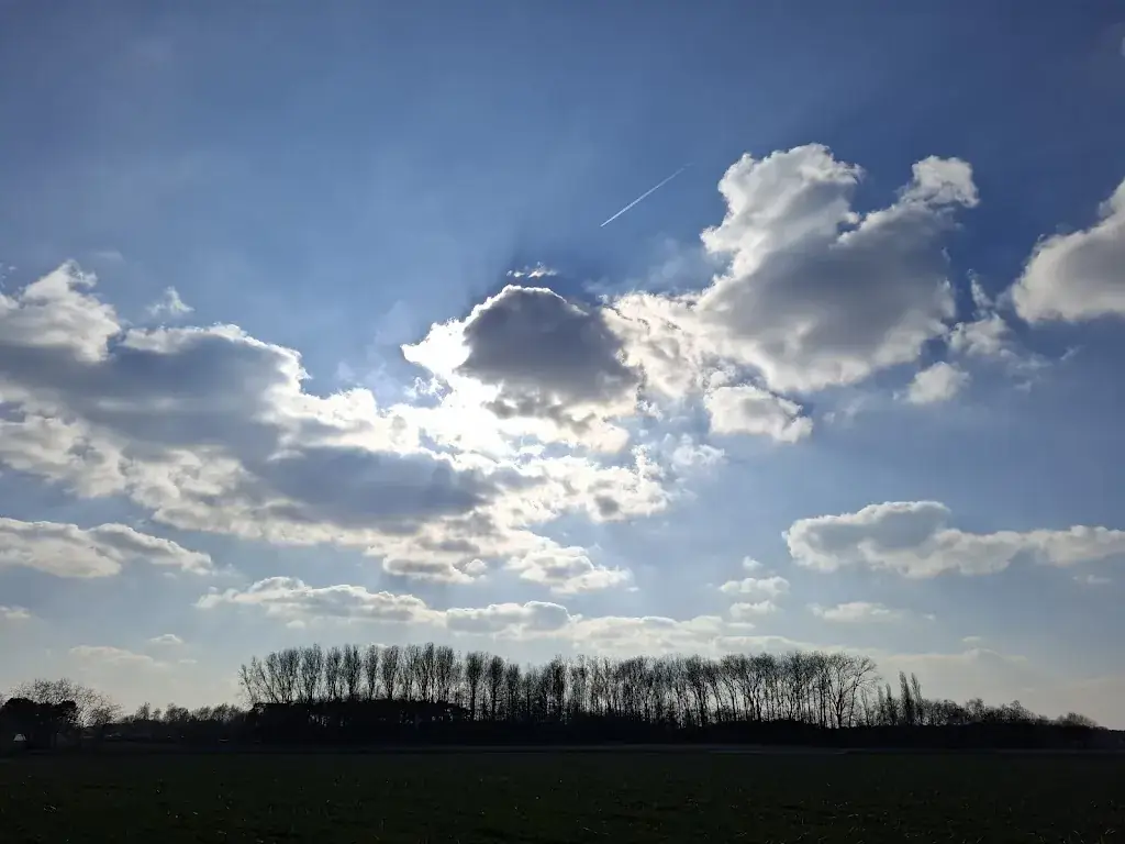 Marc Van den Broeck_Brasserie Hof ter Dijle_Haacht_avis