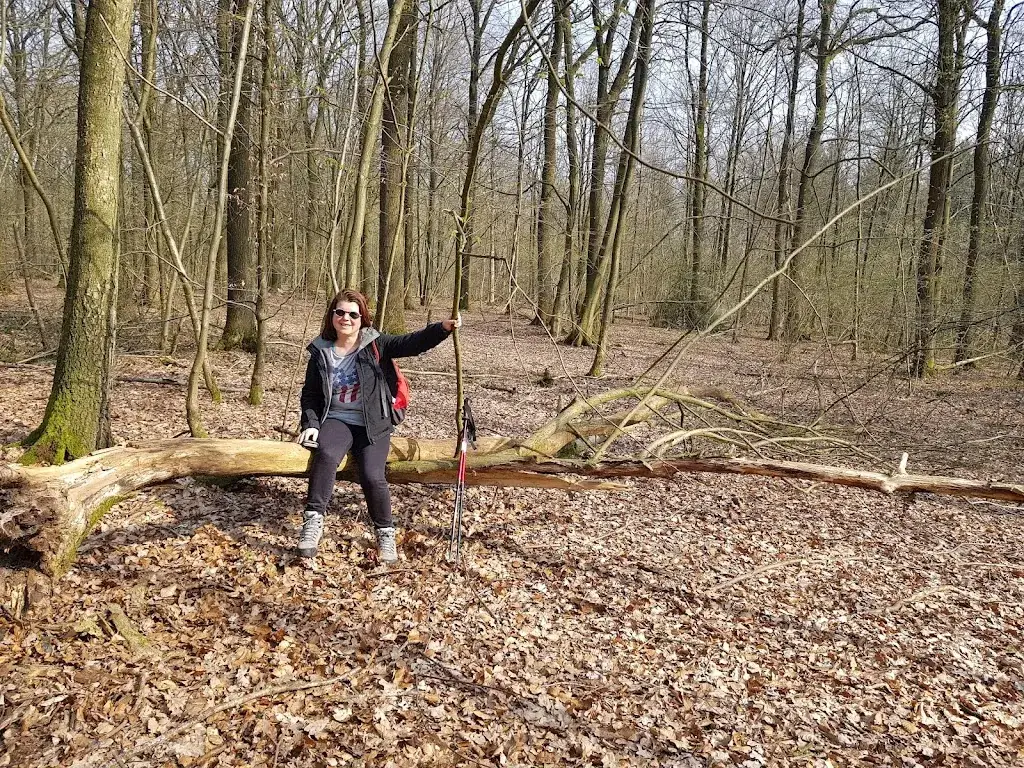 Daniel VS_R.S.C. Oheytois_Ohey_reseña