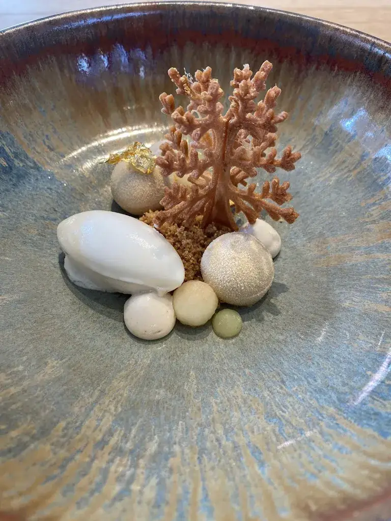 Inga Grygalyte_Le Gastronome - Jean Vrijdaghs et Sébastien Hankard_Paliseul_avis