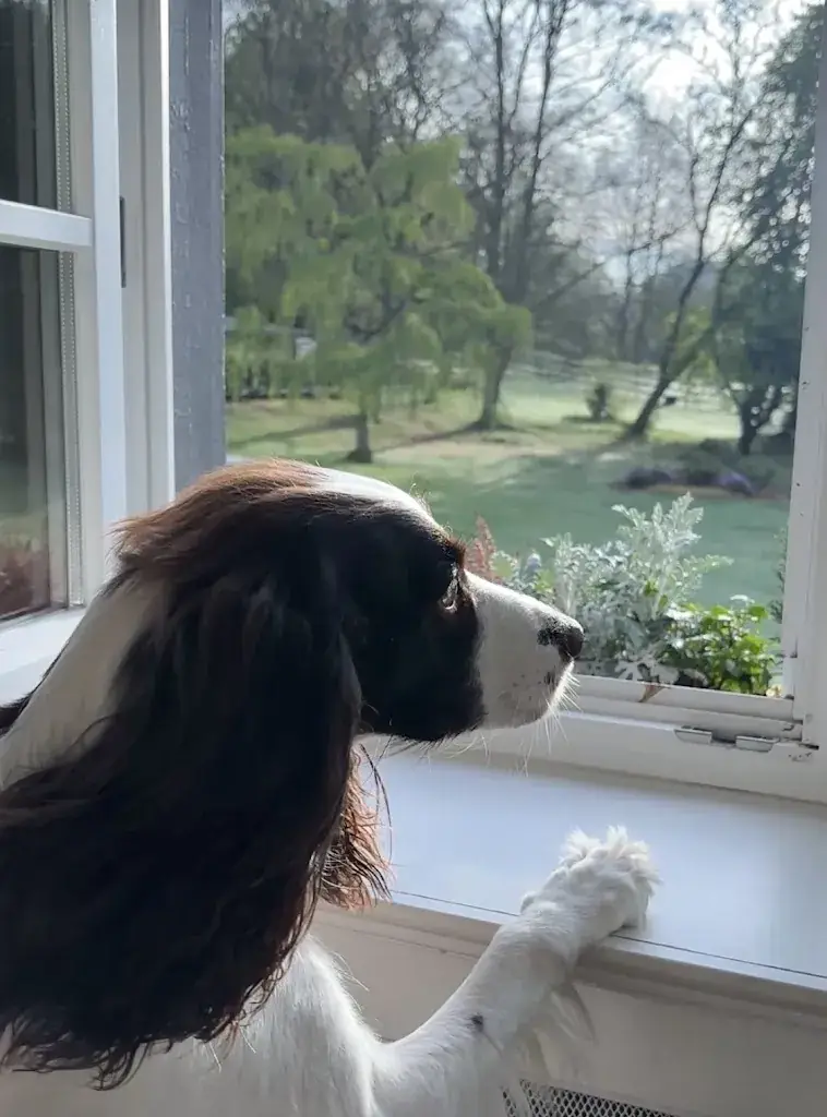 Emi Kelly_Hostellerie Lafarques_Goffontaine_reseña