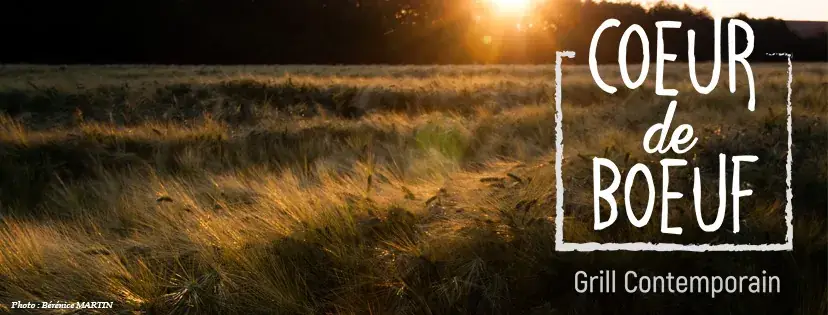 Coeur de Boeuf_Profondeville_slider_image_3