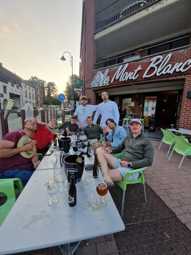 David Vanbosterhaut_Le Mont Blanc_Perwez_review