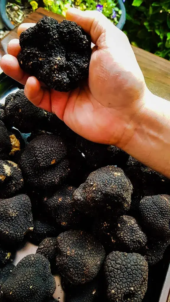 Menü_Pane & Olio_Mons_Bild_7