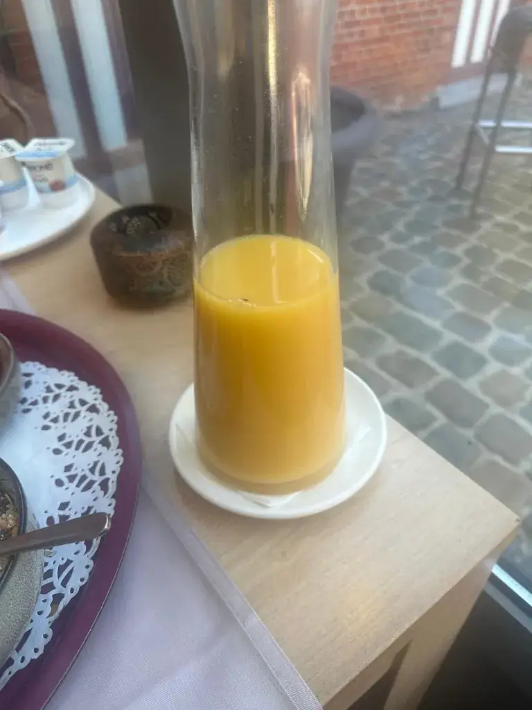 Sara Harz_De Statie_Brecht_review