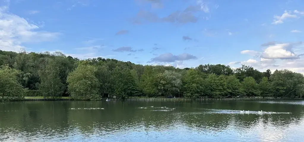 Marc Duhamel_Brasserie Du Lac_Rixensart_Bewertung