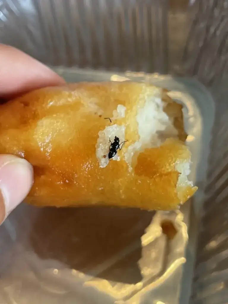 Stella Stelmahere_Dikke Mee_Brecht_review