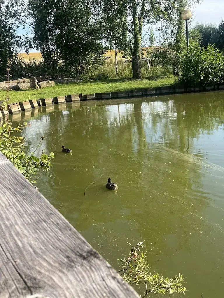 Ann Lambrechts_Etangs Saint Feuillien_Rœulx_Bewertung