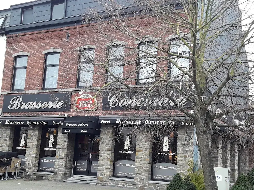 C P (Parachrisa)_Le concordia_Saint-Ghislain_reseña