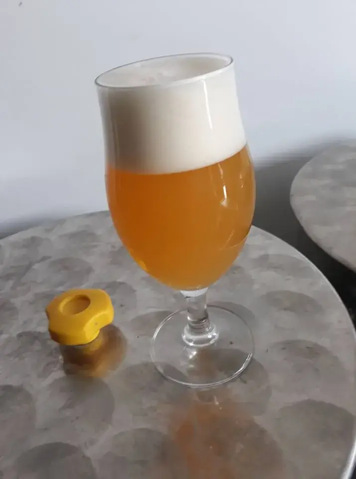 Menu_Brasserie Des Trévires_Rouvroy_image_3