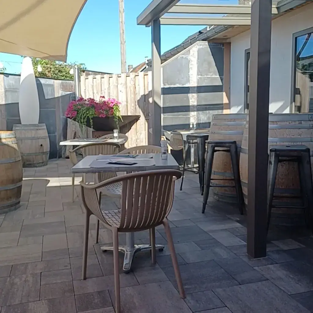 C. V._Force 7_Wanze_review