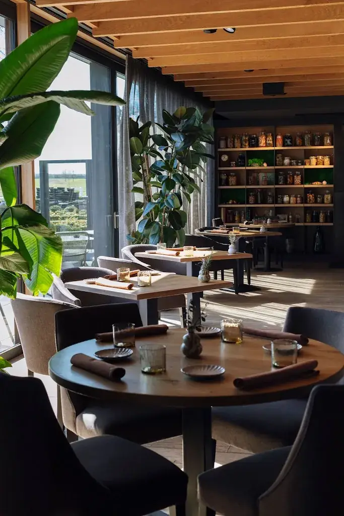 Pollen_Wanze_slider_image_1