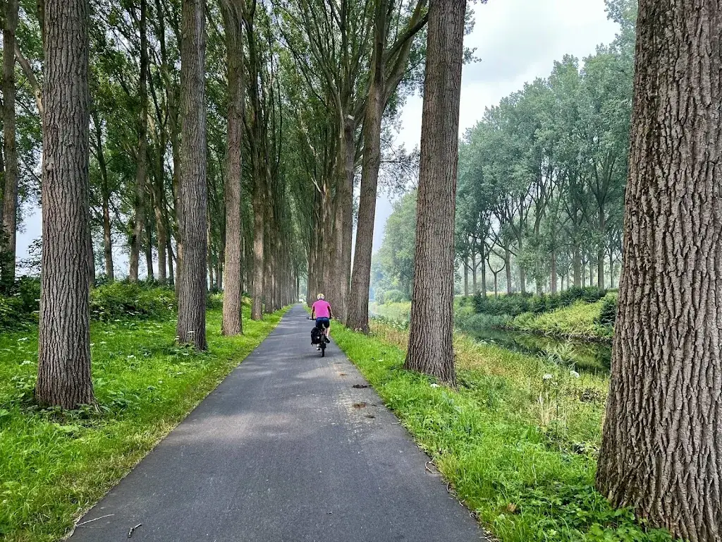 ina Pö_Mout_Damme_review