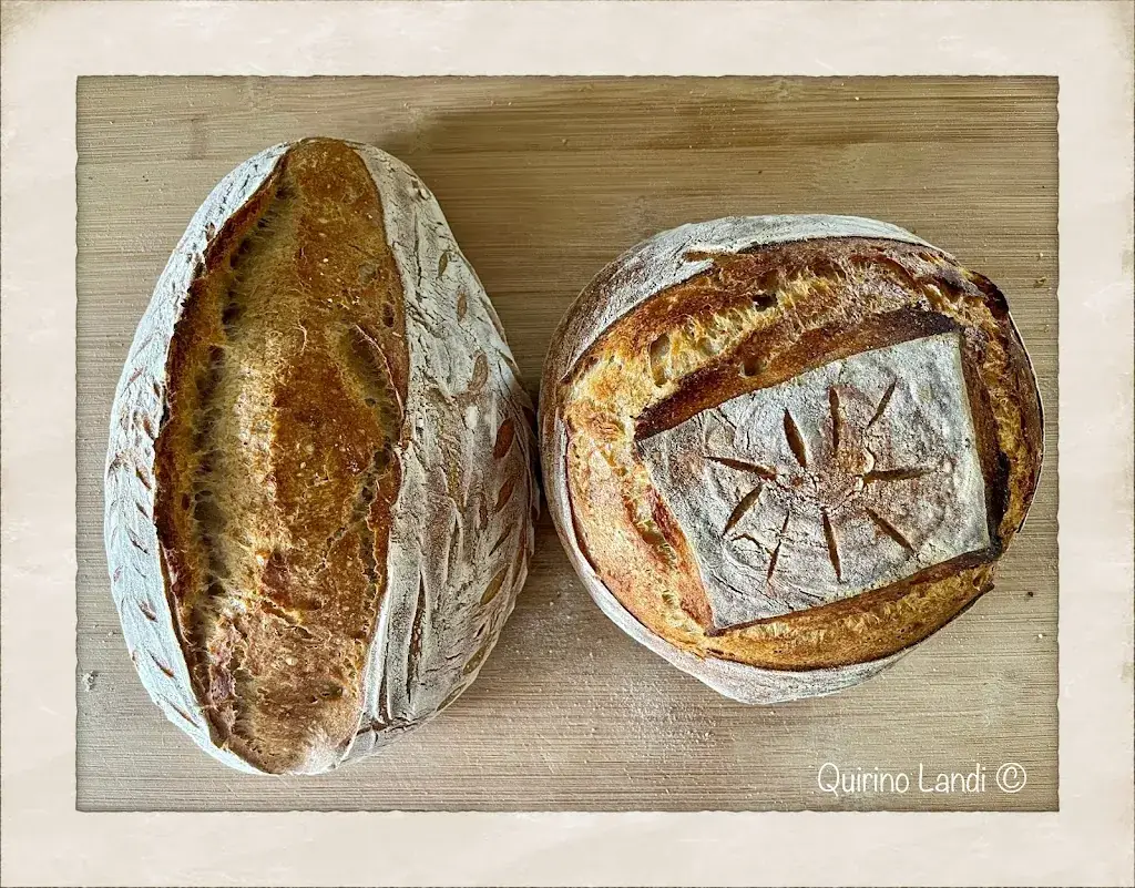 Menü_Il Sorriso della nonna_Damme_Bild_6