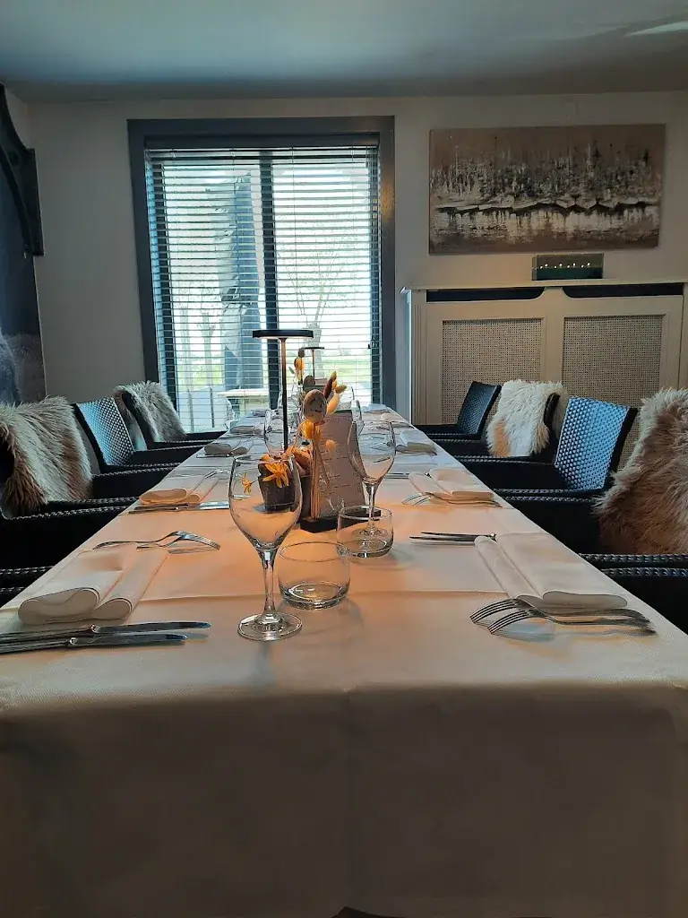 nancy slegtinck_De Kleine Rietgans_Damme_reseña