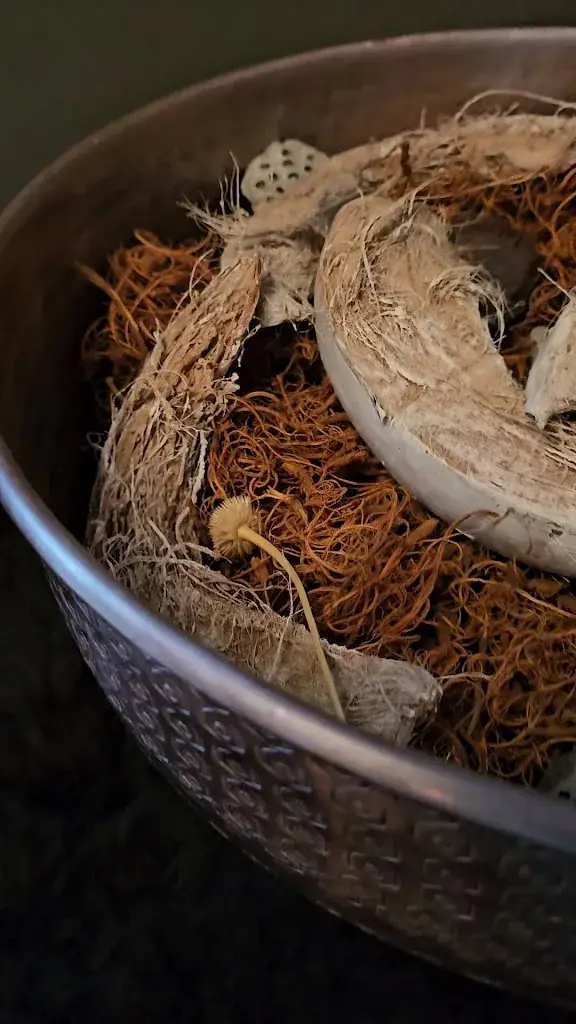 Jenniesabelmix VlogChannel_Bistro Restaurant De Grilloir Vivenkapelle_Damme_review