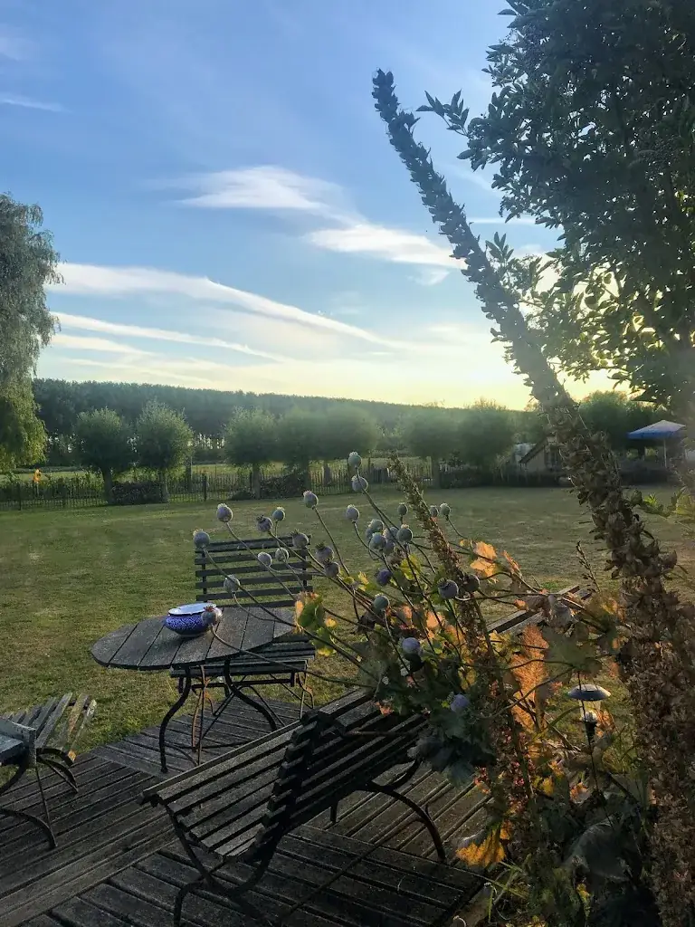 PLATHEULE_Damme_slider_image_2