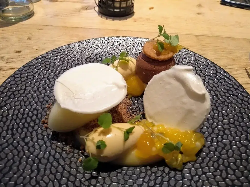 Rushil Shetty_Restaurant Yelo_Haan_review