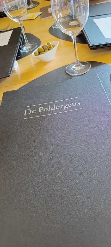 Jonathan Boydens_De Poldergeus_Haan_review