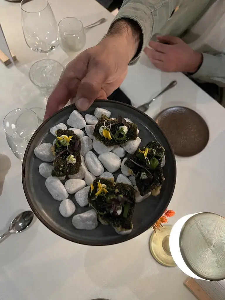 Arne Decoutere_Maison Maurice_Deerlijk_reseña