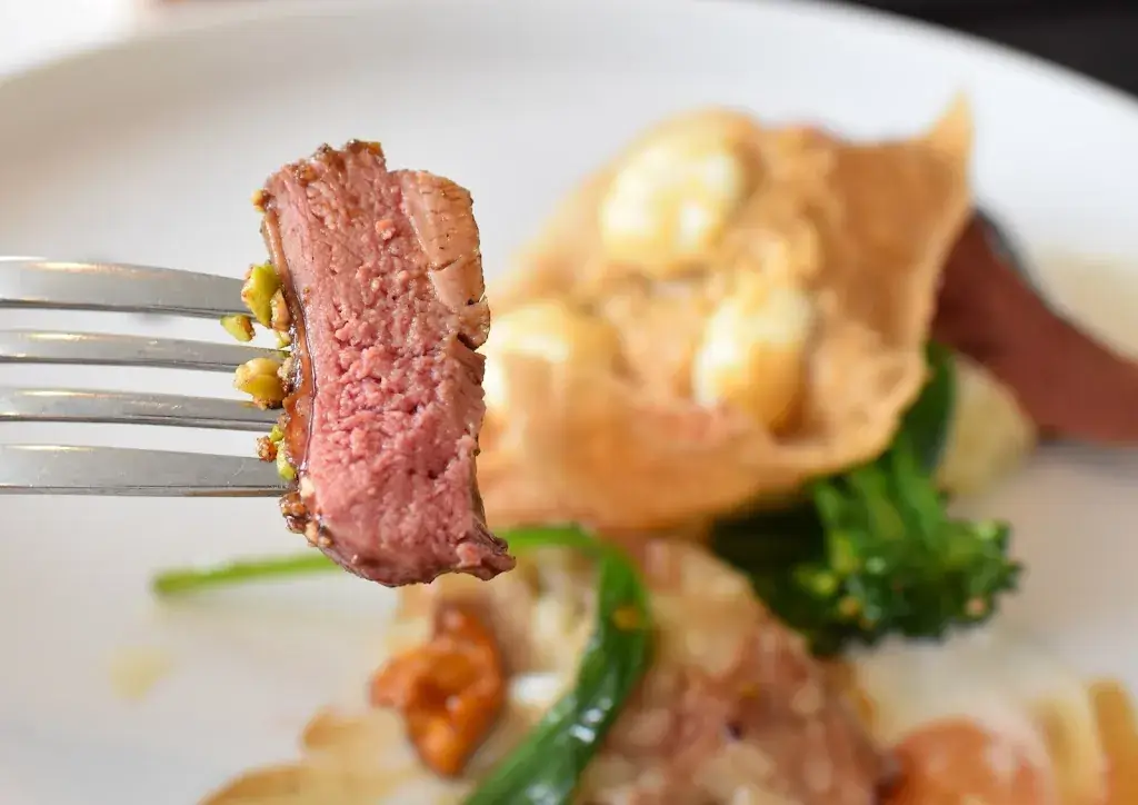 Castor_Waregem_slider_image_2