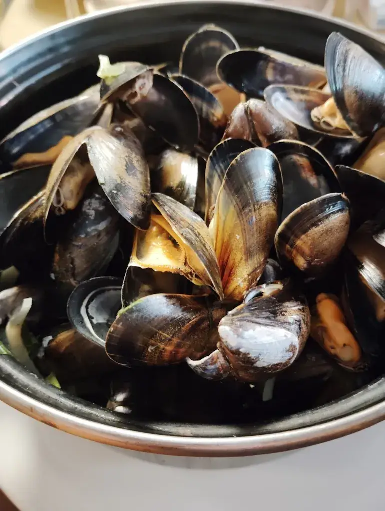 Dom “T-rex ou dom le cuistot” b_Le Petit Bonhomme_Panne_Bewertung