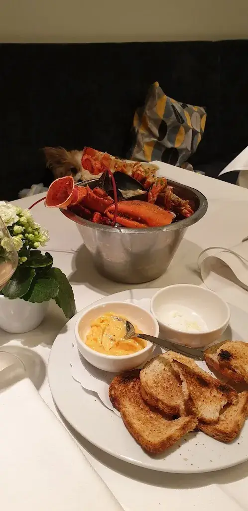 Xanyar Kamangar_Restaurant La Coupole - De Panne_Panne_Bewertung