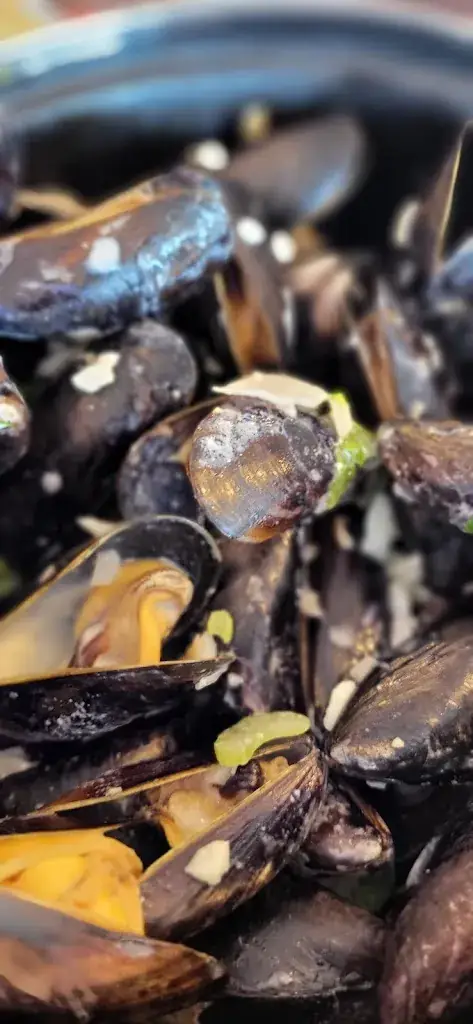 Menu_Albert I_Panne_image_5