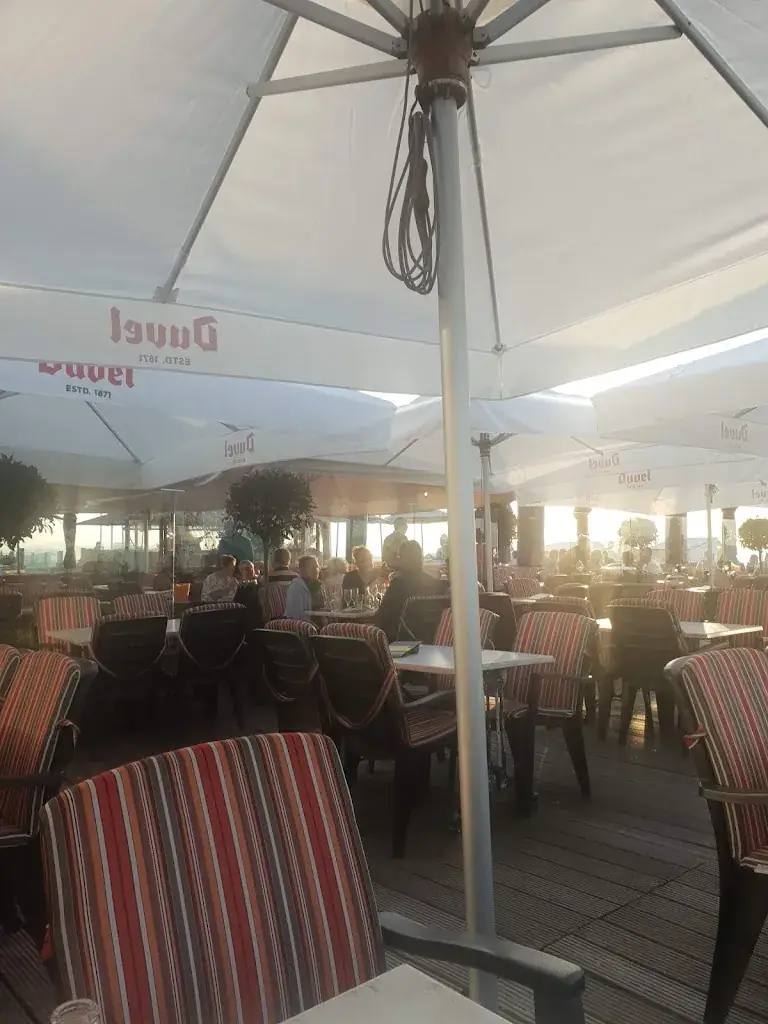 Bethan_Albert I_Panne_review