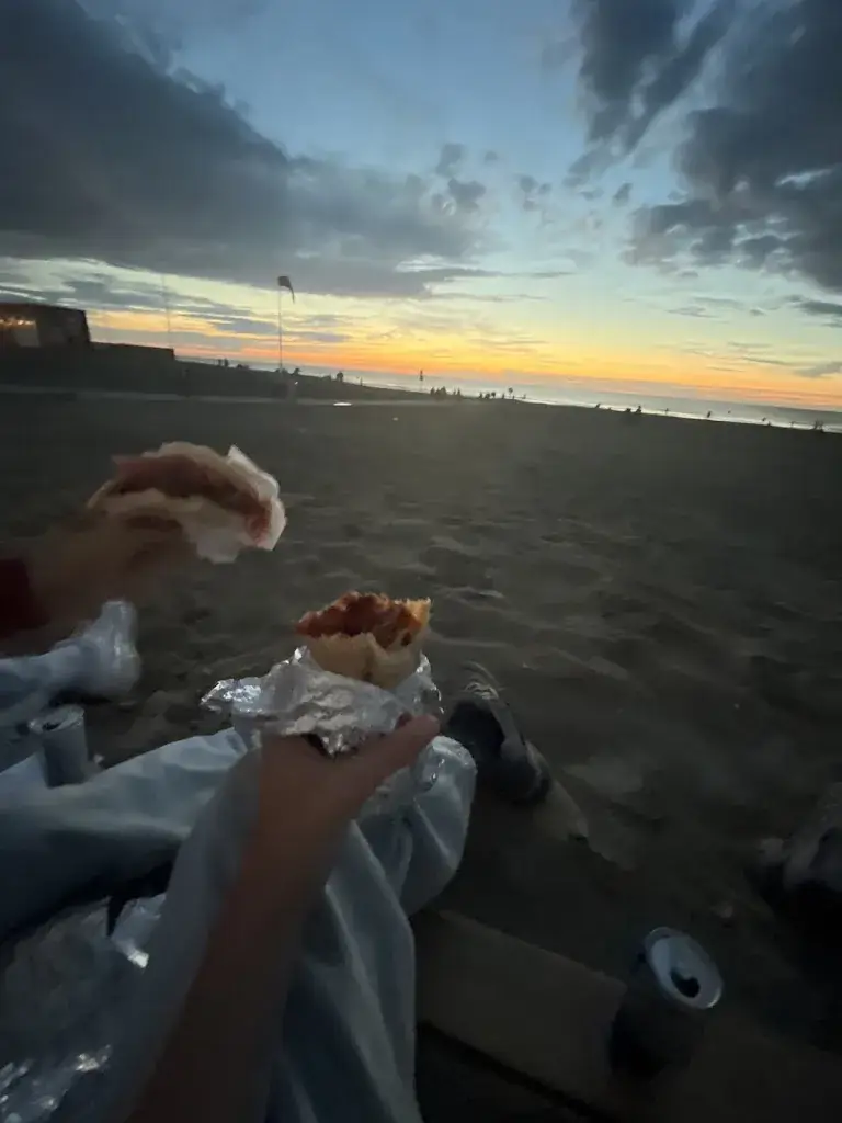 LitZys__Resto Snack De Panne_Panne_Bewertung