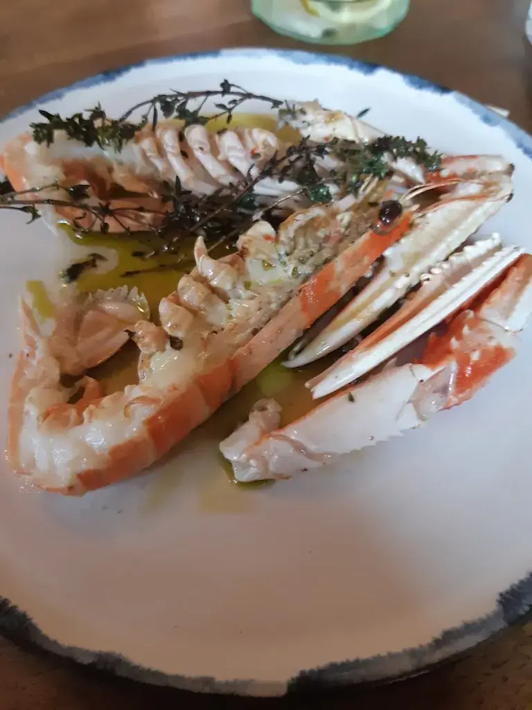 Menü_Armalot by Julia_Panne_Bild_7