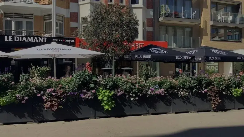 Brasserie Le Diamant_Panne_slider_image_3